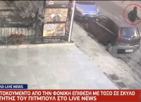 Πετρούπολη σκύλος: Βίντεο – ντοκουμέντο για την φονική επίθεση με βαλλίστρα Πετρούπολη σκύλος: Βίντεο – ντοκουμέντο για την φονική επίθεση με βαλλίστρα