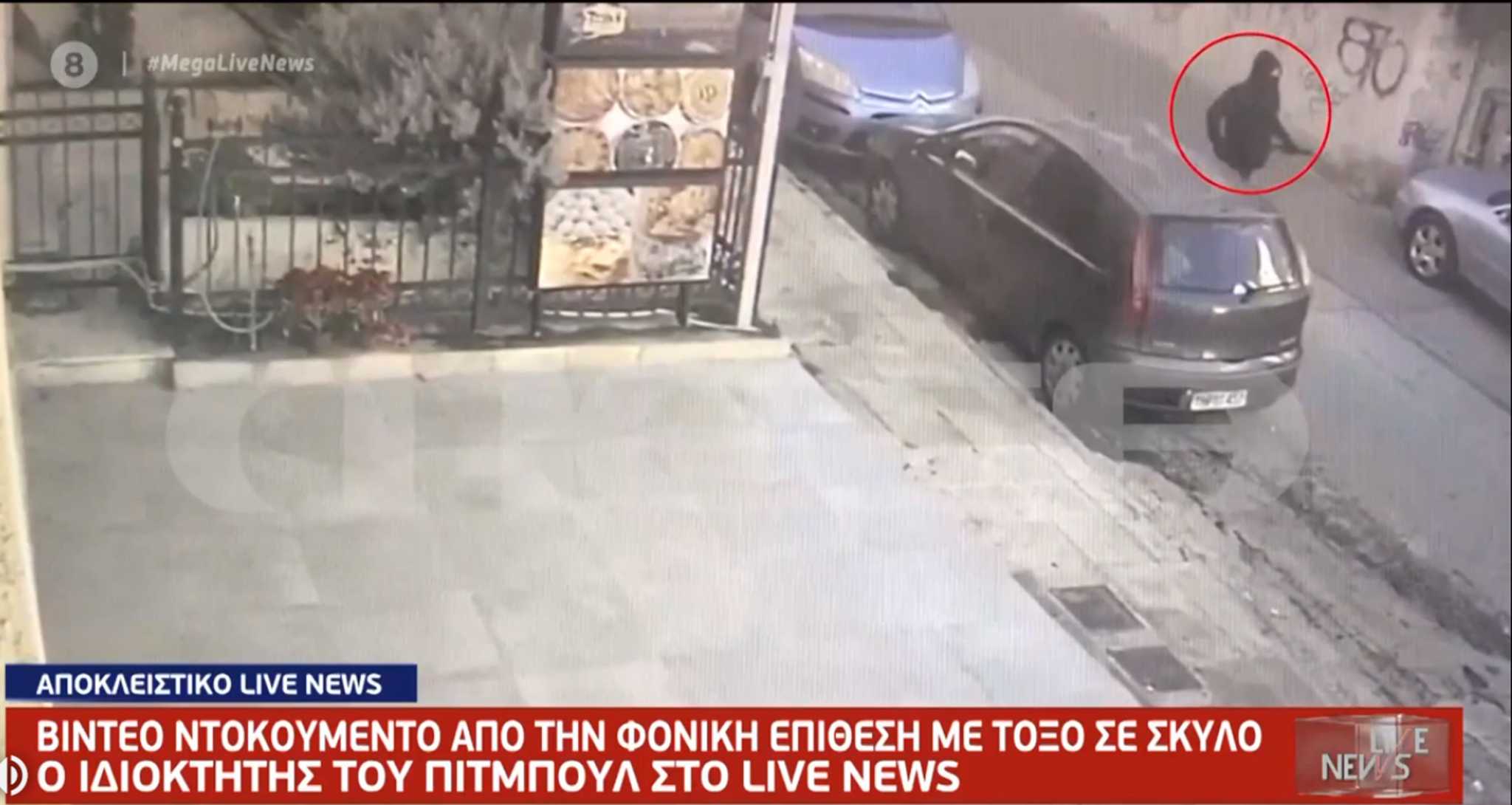 Πετρούπολη σκύλος: Βίντεο – ντοκουμέντο για την φονική επίθεση με βαλλίστρα