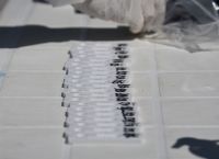 Rapid test: Σε αυτά τα σημεία θα γίνουν σήμερα από τον ΕΟΔΥ Rapid test: Σε αυτά τα σημεία θα γίνουν σήμερα από τον ΕΟΔΥ