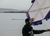 Χαρταετοί: Προσοχή – Τι συνιστά ο ΑΔΜΗΕ Χαρταετοί: Προσοχή – Τι συνιστά ο ΑΔΜΗΕ