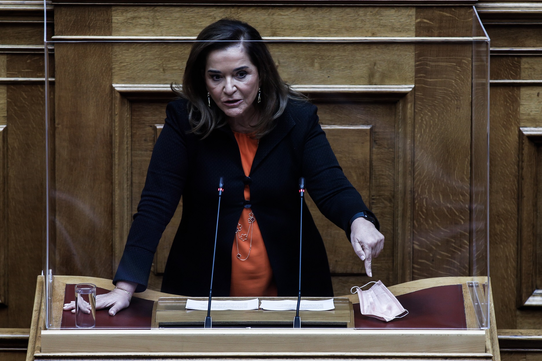 Ντόρα Μπακογιάννη: Ο κύριος Δρίτσας προσέβαλε τα θύματα της 17Ν