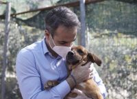 Παγκόσμια Ημέρα αδέσποτων: Ο Μητσοτάκης στο καταφύγιο Ηλιούπολης