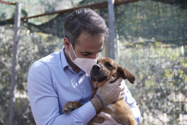 Παγκόσμια Ημέρα αδέσποτων: Ο Μητσοτάκης στο καταφύγιο Ηλιούπολης