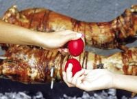 Κυριακή του Πάσχα: Συμβουλές για ένα πετυχημένο ψήσιμο του οβελία Κυριακή του Πάσχα: Συμβουλές για ένα πετυχημένο ψήσιμο του οβελία