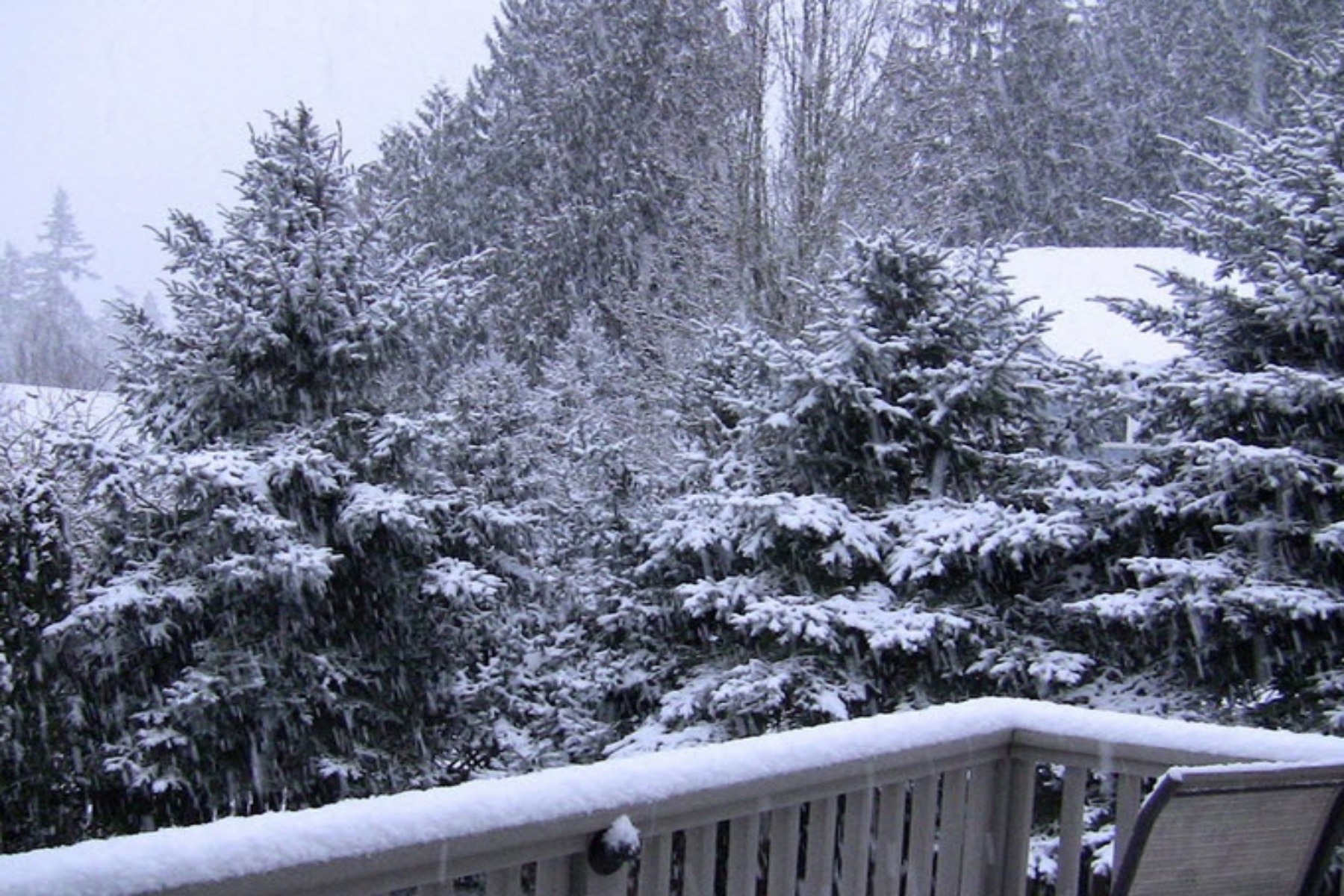 Καιρός Ελλάδα: -5 καταγράφηκε στη Φλώρινα