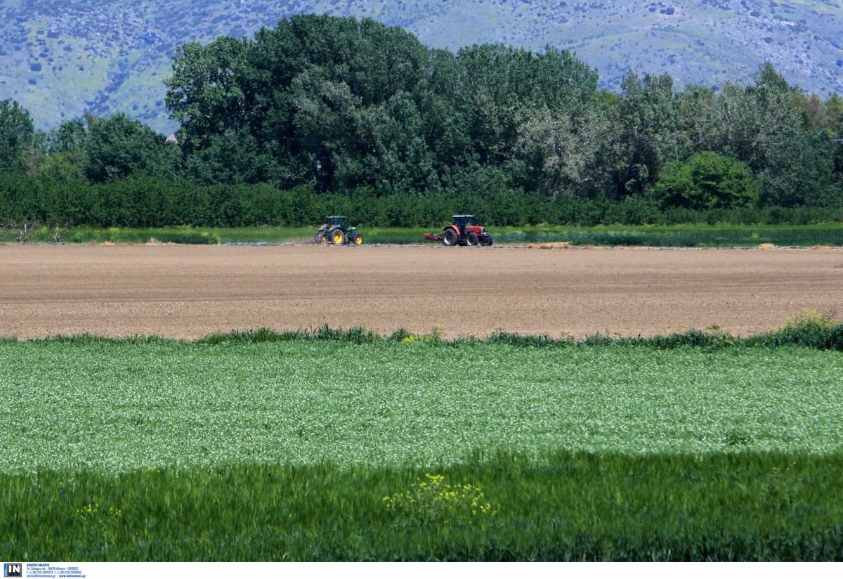 Δασικοί χάρτες: Παράταση έξι μηνών στην υποβολή αντιρρήσεων