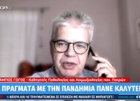 Χαράλαμπος Γώγος: Σε ύφεση τα επιδημιολογικά δεδομένα
