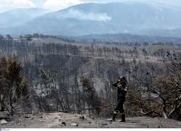 Φωτιά στα Γεράνεια Όρη: Έκαψε 71.300 στρέμματα Φωτιά στα Γεράνεια Όρη: Έκαψε 71.300 στρέμματα