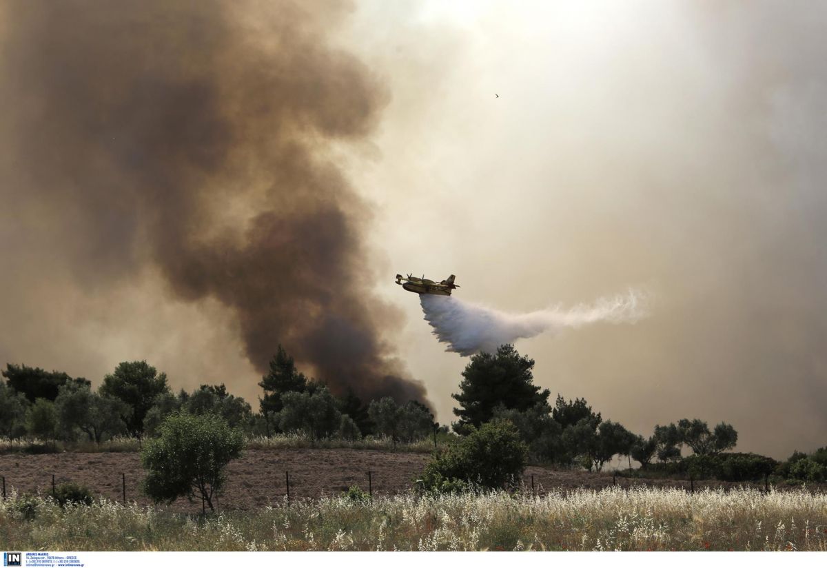 Φωτιά στα Γεράνεια Όρη: Βρίσκεται σε ύφεση