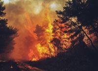 Φωτιά στη Μεγαλόπολη: Συναγερμός στην πυροσβεστική