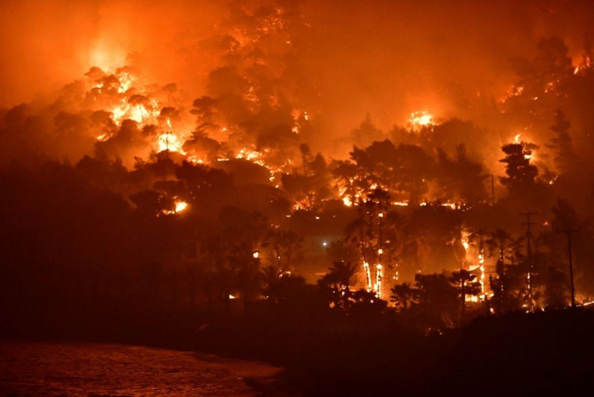 Φωτιά στα Μέγαρα: Κάηκαν πάνω από 55.000 στρέμματα