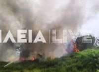 Φωτιά στην Εθνική Οδό Πατρών – Πύργου Φωτιά στην Εθνική Οδό Πατρών – Πύργου