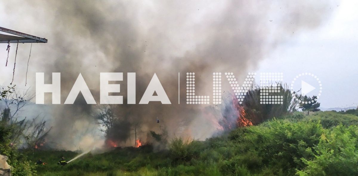 Φωτιά στην Ηλεία: Υπό μερικό έλεγχο η πυρκαγιά
