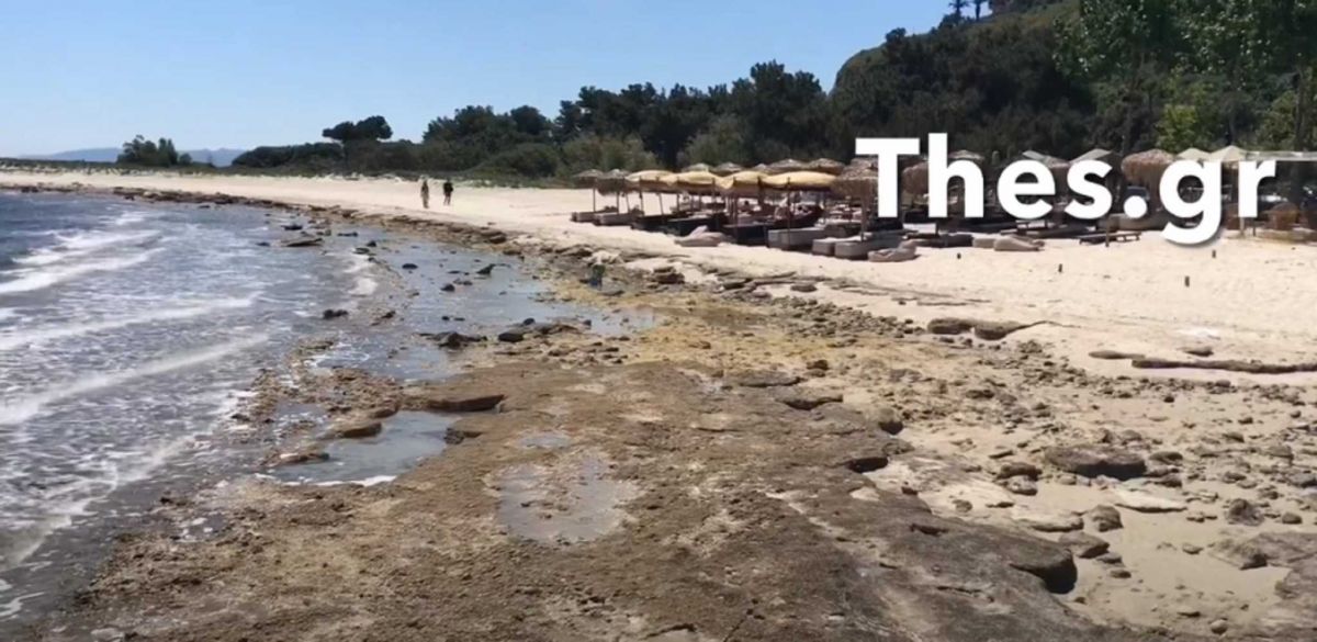 Χαλκιδική: Πήγαν για μπάνιο αλλά έλειπε η θάλασσα