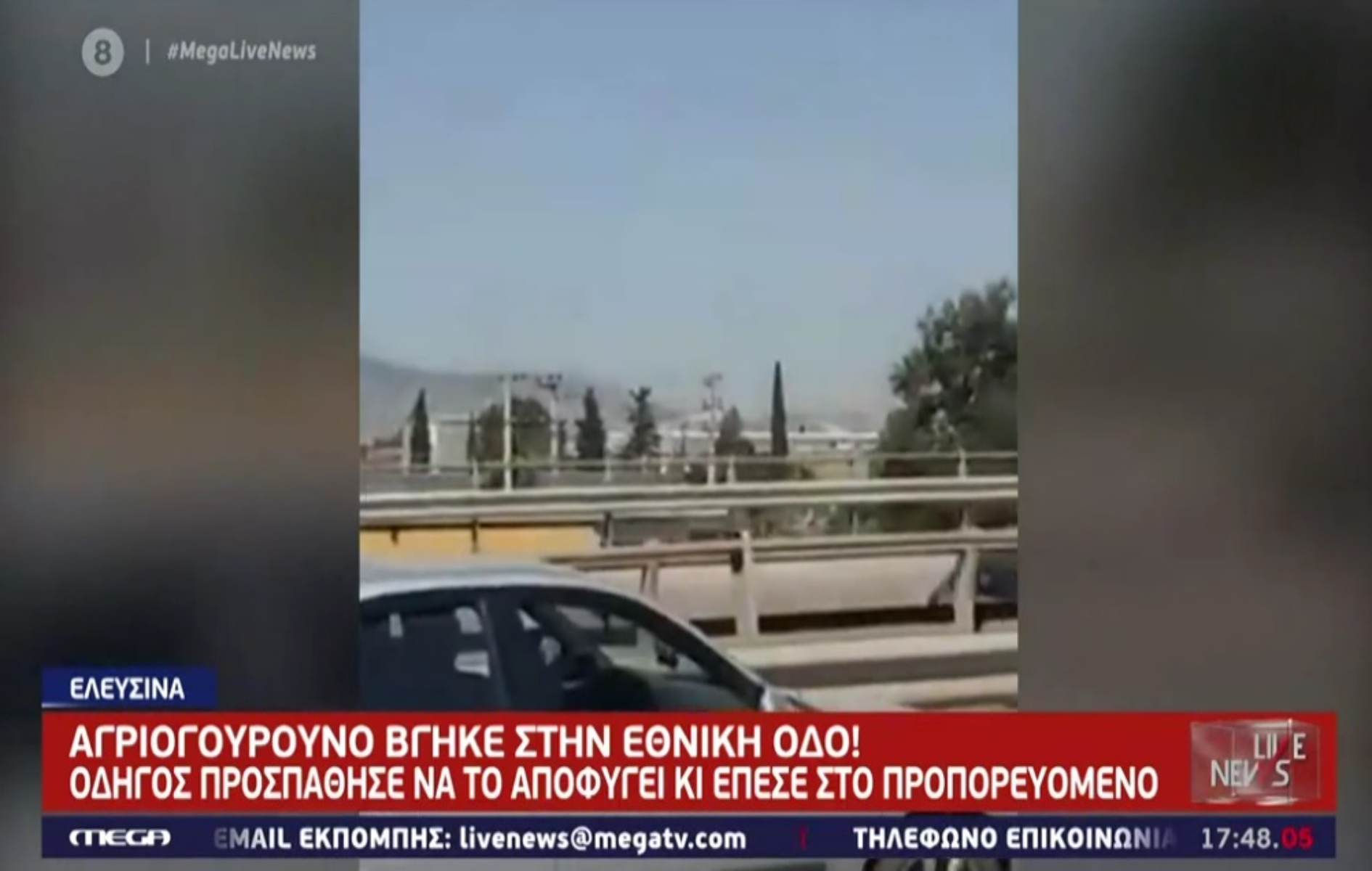 Τροχαίο: Αγριογούρουνο προκάλεσε ατύχημα στην Εθνική Οδό