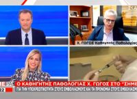 Γώγος: Πάμε καλύτερα, αλλά φοβόμαστε το 4ο κύμα και χρειαζόμαστε το τείχος ανοσίας Γώγος: Πάμε καλύτερα, αλλά φοβόμαστε το 4ο κύμα και χρειαζόμαστε το τείχος ανοσίας