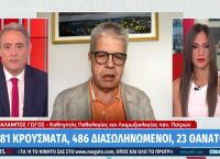 Γώγος: Έχουμε ύφεση της πανδημίας και πολύ καλύτερους δείκτες