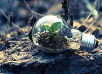 Παγκόσμια Ημέρα Περιβάλλοντος: Αγώνας για ένα καλύτερο αύριο