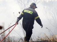Φωτιά στη Φθιώτιδα: Οριοθετημένη η πυρκαγιά στο Λογγίτσι Φωτιά στη Φθιώτιδα: Οριοθετημένη η πυρκαγιά στο Λογγίτσι