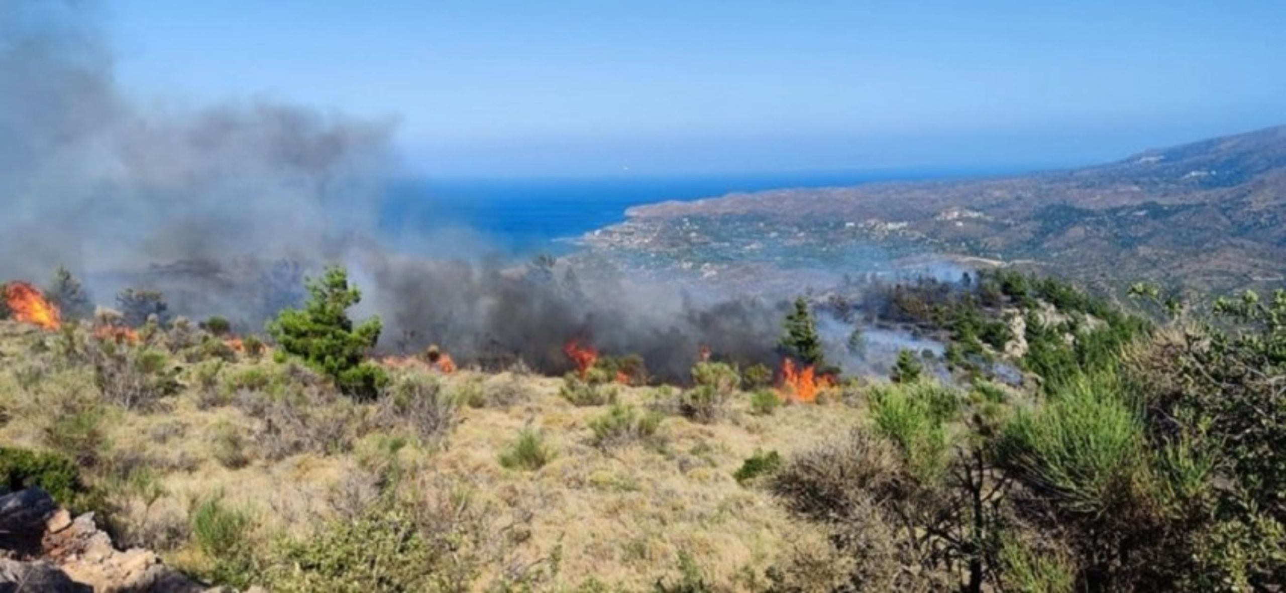 Φωτιά στη Χίο: Εκκενώθηκε οικισμός και ενισχύονται οι πυροσβεστικές δυνάμεις