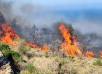Φωτιά στη Χαλκίδα: Συναγερμός στην Πυροσβεστική Φωτιά στη Χαλκίδα: Συναγερμός στην Πυροσβεστική