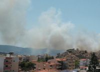 Φωτιά τώρα στη Σαλαμίνα