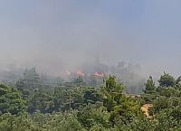 Φωτιά στον Ωρωπό: Ισχυρές δυνάμεις της πυροσβεστικής