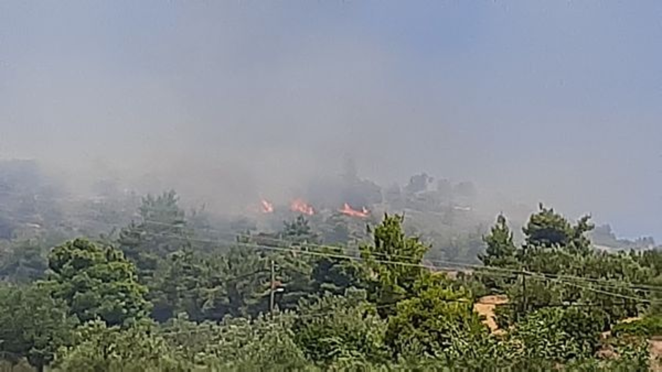 Φωτιά στον Ωρωπό: Ισχυρές δυνάμεις της πυροσβεστικής