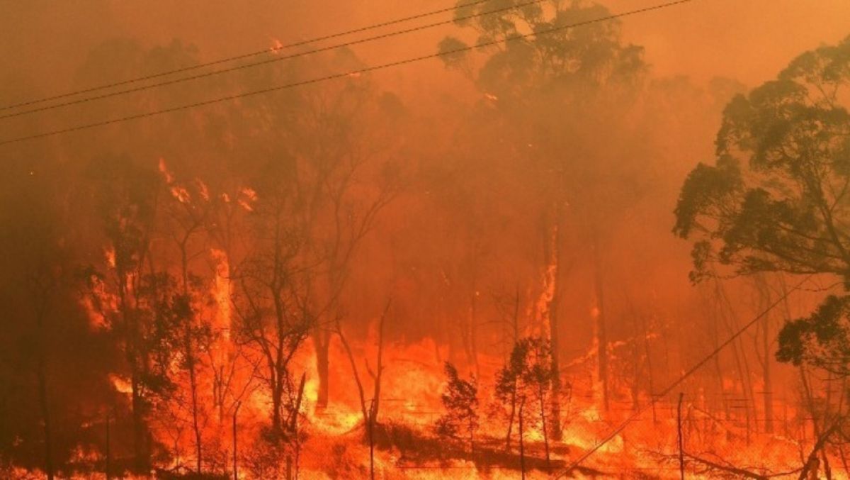 Φωτιά στην Κύπρο: Οι δηλώσεις του συλληφθέντα