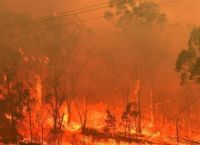 Φωτιά στην Κύπρο: Υπό έλεγχο η πυρκαγιά στον Κοτσιάτη Λευκωσίας
