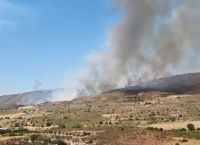 Κύπρος: Φωτιά στην κοινότητα Πάχνας στη Λεμεσό – Εκκενώνονται κατοικίες