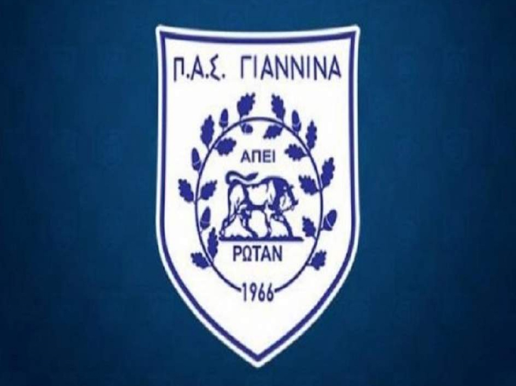 ΠΑΣ Γιάννινα: Στην Ελλάδα για την φάση της προετοιμασίας