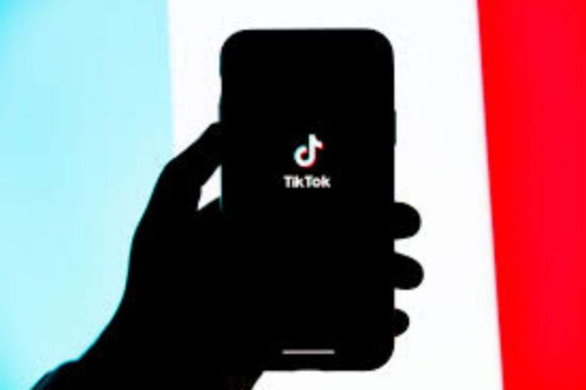 TikTok: Σβήνει τους μικρούς του φίλους