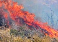 Τουρκία: Τέσσερις νεκροί στις δασικές πυρκαγιές