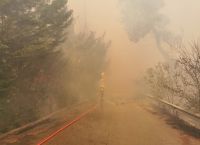 Φωτιά στη Σταμάτα: Έκτακτο μήνυμα από το 112 – Οι κάτοικοι εγκαταλείπουν τα σπίτια τους