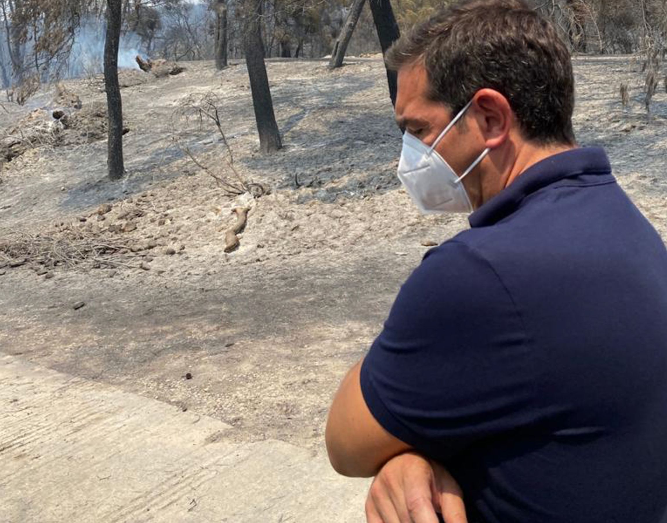 Τσίπρας: Να κηρυχθούν αναδασωτέες οι καμένες εκτάσεις