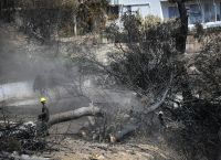 Αποζημιώσεις πυρόπληκτων: Πότε αναμένεται να ανοίξει η πλατφόρμα