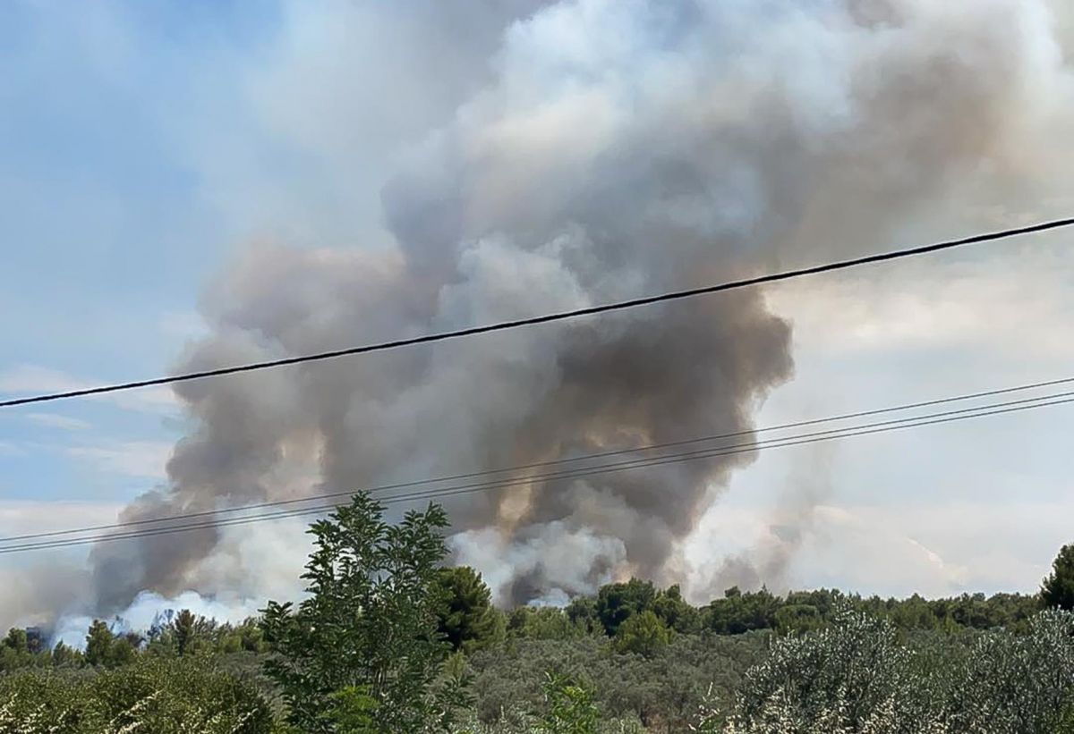 Φωτιά στο Θεολόγο: Σοκαριστική η ομολογία του 14χρονου εμπρηστή