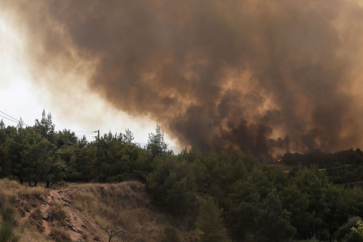Βαρυμπόμπη: Συγκλονιστικό βίντεο από την φωτιά