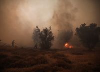 Φωτιά στη Ζάκυνθο: Προσήχθη ύποπτος