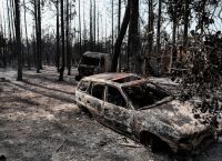 Αποζημιώσεις πυρόπληκτων: Πιστώνονται 1.6 εκατομμύρια σε 422 δικαιούχους Αποζημιώσεις πυρόπληκτων: Πιστώνονται 1.6 εκατομμύρια σε 422 δικαιούχους