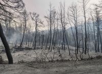 Εύβοια φωτιά: Γιατί κάηκε το νησί
