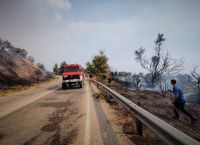 Φωτιά στην Ηλεία: Ανετράπη πυροσβεστικό