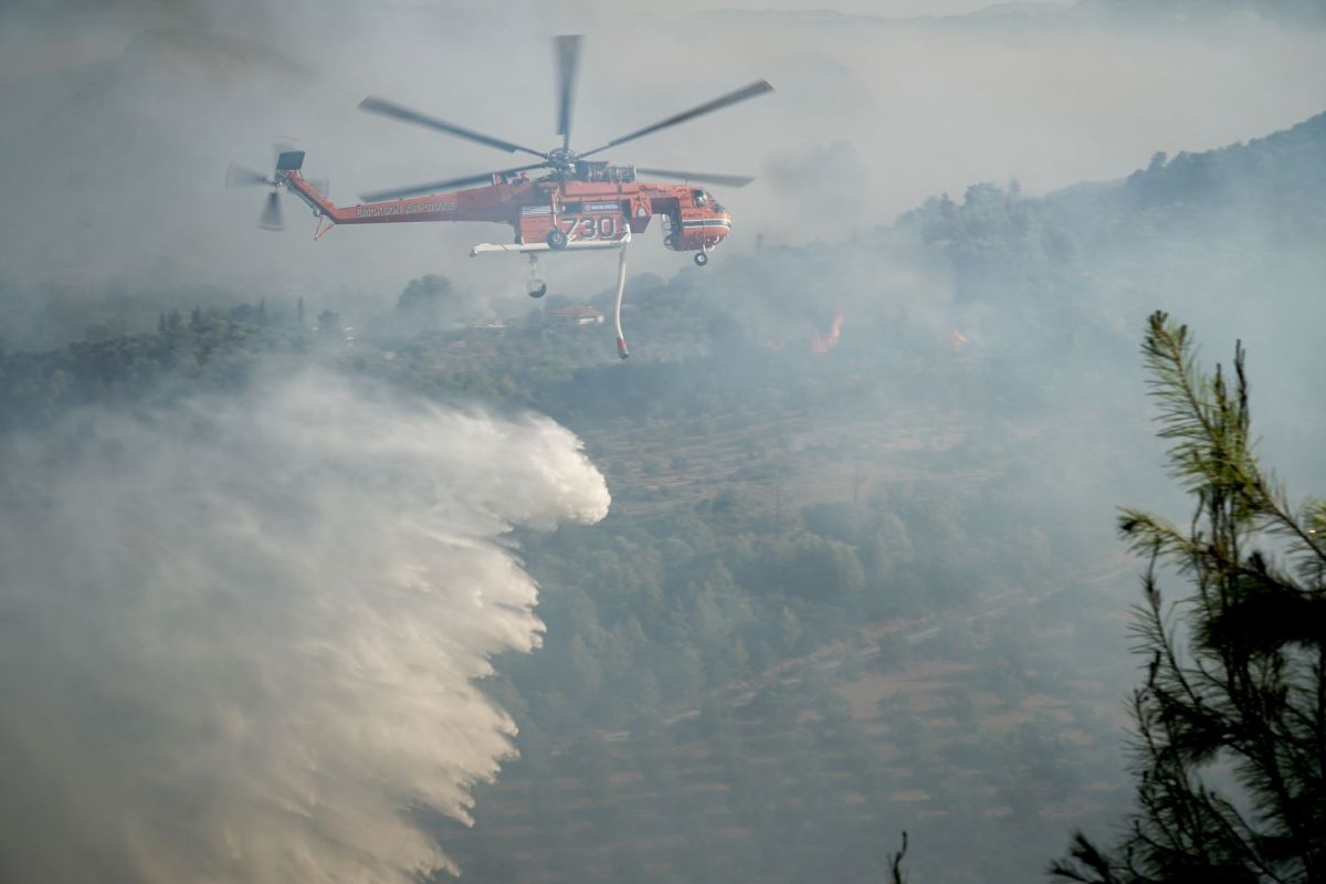 Φωτιά στην Ηλεία: Μάχη με τις αναζωπυρώσεις δίνουν οι πυροσβέστες
