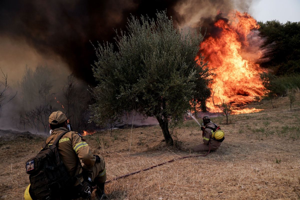 Φωτιά στην Ηλεία: Σε εξέλιξη τα πύρινα μέτωπα