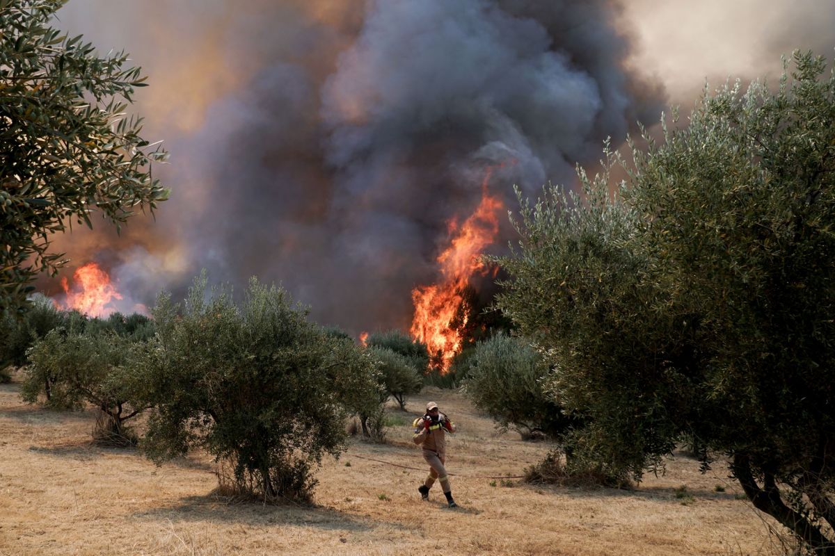 Φωτιά στην Ηλεία: Τραυματίστηκαν δύο πολίτες – Πληροφορίες και για εγκλωβισμένους