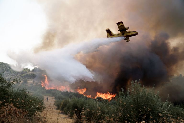 Καιρός: Σήμερα η πιο επικίνδυνη ημέρα για τις πυρκαγιές - Άνεμοι έως 8  μποφόρ | Ειδησεις | Pagenews.gr