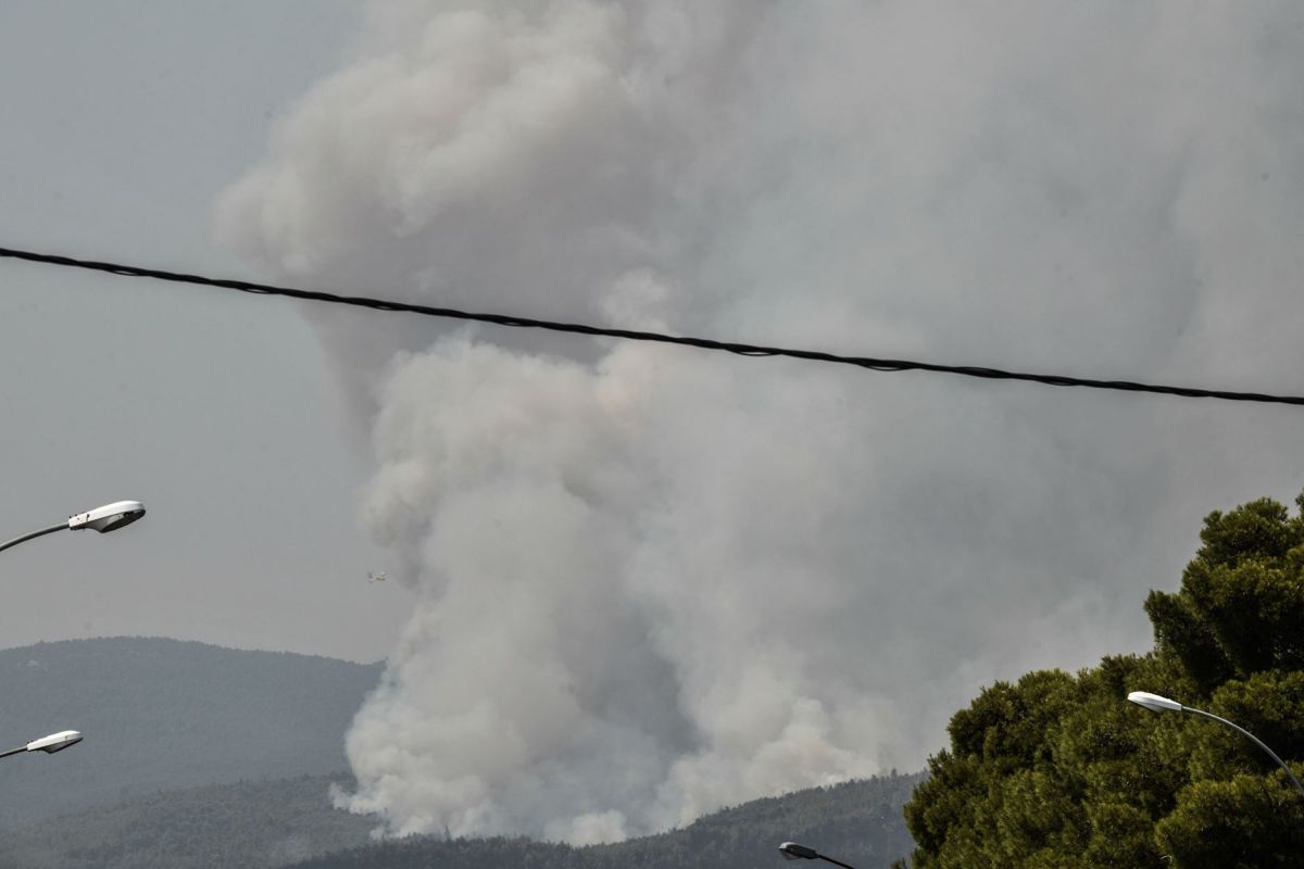 Πυρόπληκτοι: Δημιουργείται επιτροπή για το «Plan BEE»  για τα ανασφάλιστα μελίσσια που κάηκαν