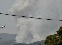 Πυρόπληκτοι: Δημιουργείται επιτροπή για το «Plan BEE»  για τα ανασφάλιστα μελίσσια που κάηκαν