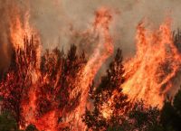 Ψήγματα μίας καταστροφής